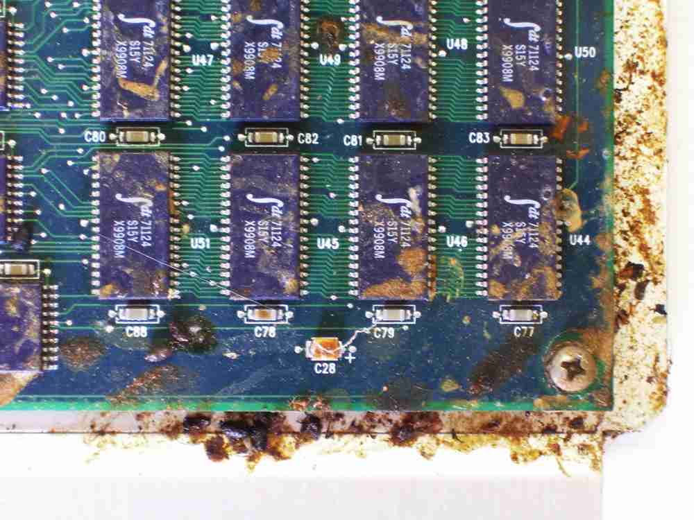 Network Controller Mouse Damaged Closeup
